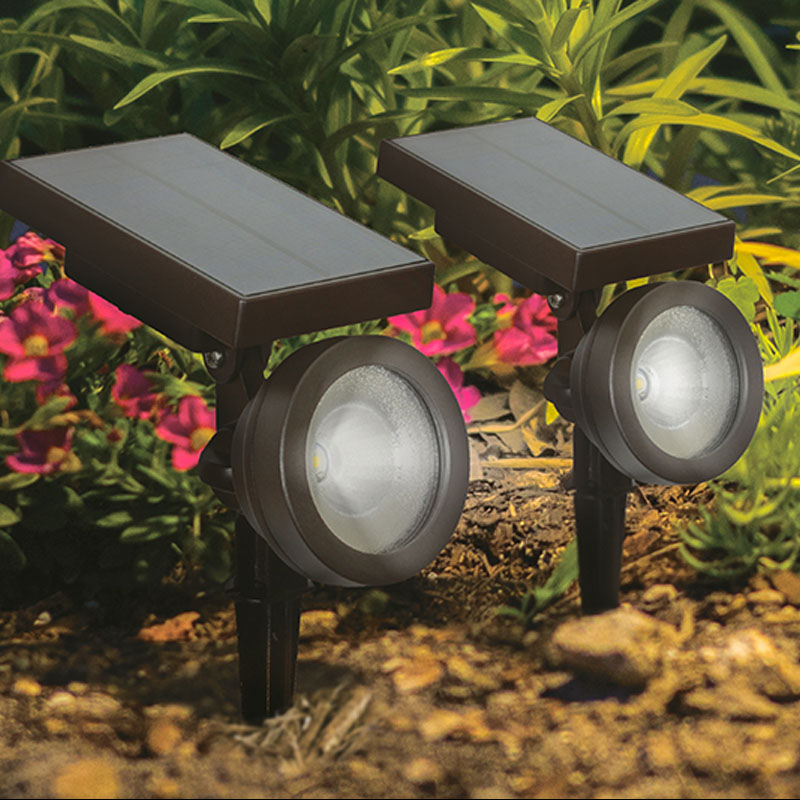 SD-20016 50 Lumen Solar Spotlight