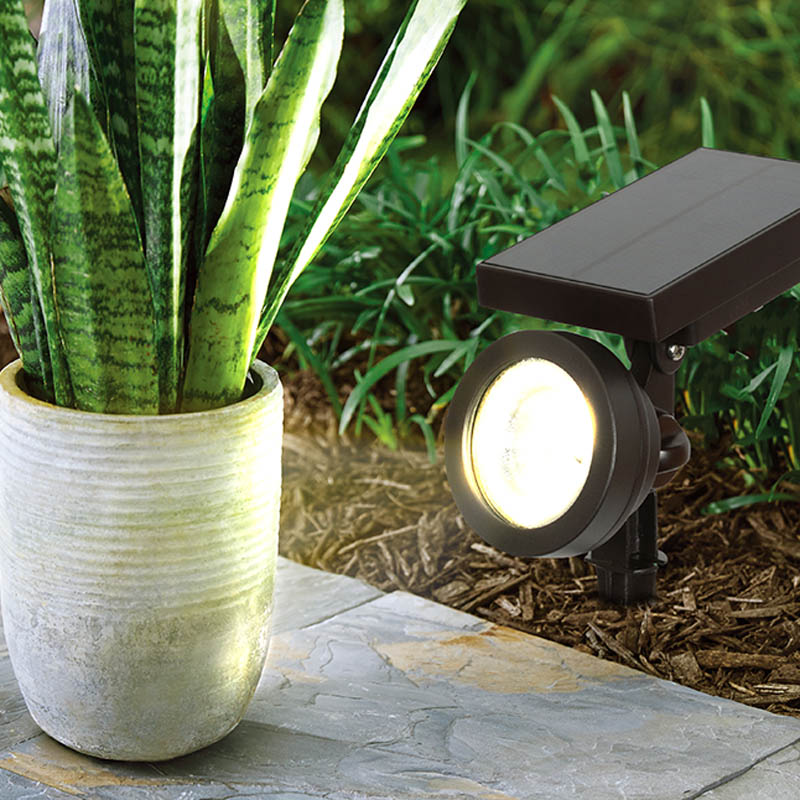 SD-20016 50 Lumen Solar Spotlight